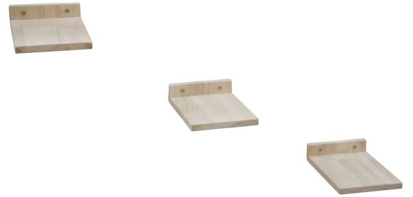 Catwalk Katzen Treppe